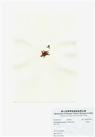 藏品(旋花藻)的圖片